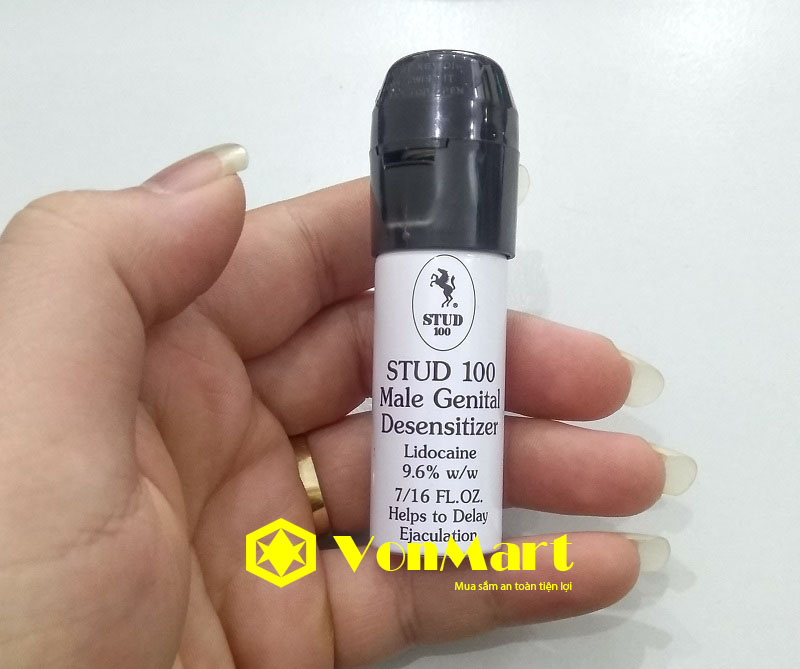 stud-100-co-gia-bao-nhieu